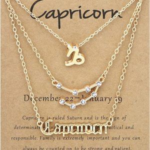 NWT Zodiac Necklace / Constellation Pendant  - CAPRICORN